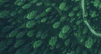 �ƶ����ſƼ� |  �û���Զ��ɭ��